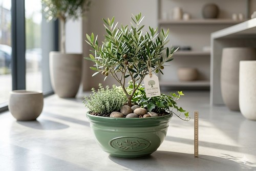 Pflanzschale 30cm - 30cm, –